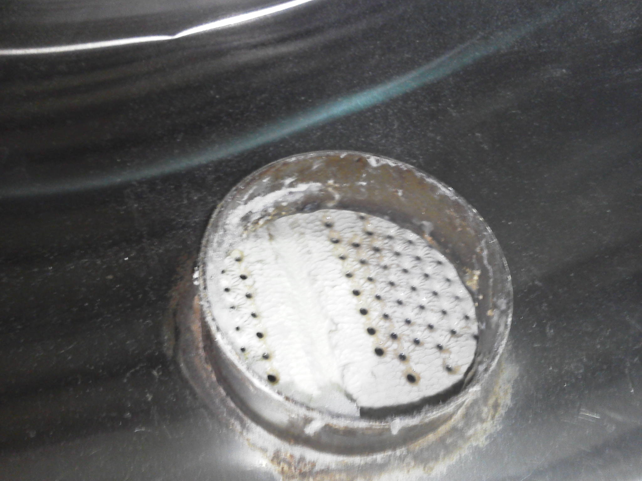 Scale Buildup Pellerin Milnor Corporation